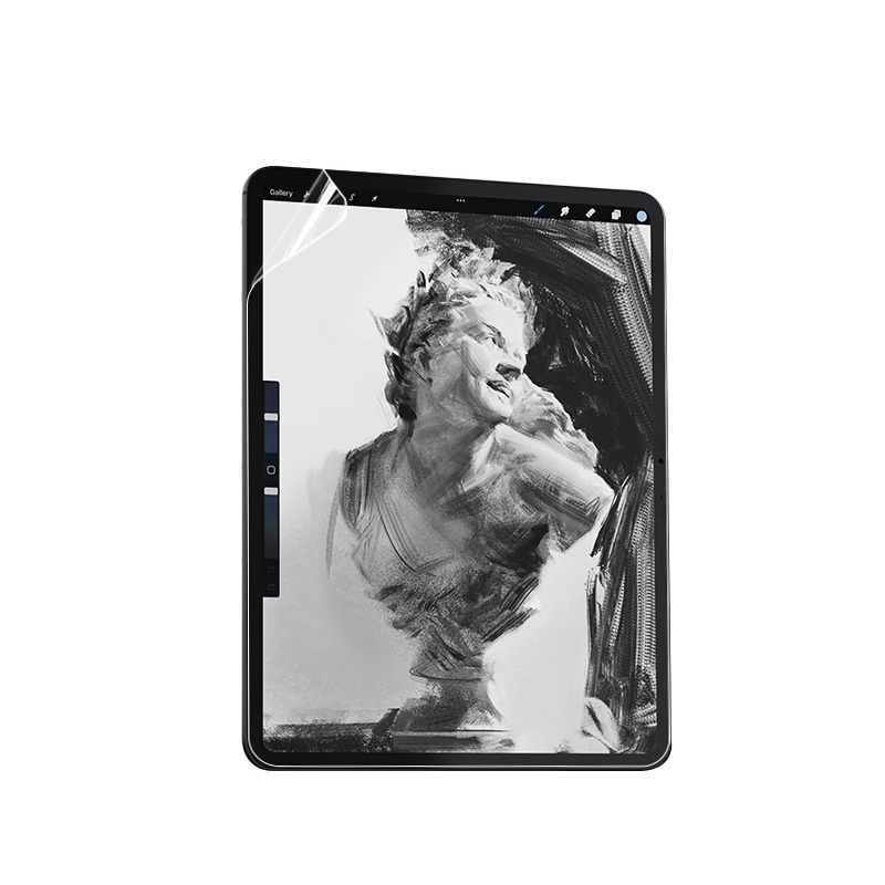 PROTESCREEN iPad mini 7/6 類紙膜(用户提供商品圖)